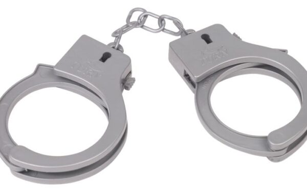 Nusikaltimą ištyrė ir nusikaltėlį nuteisė per… 2 val. 45 min.