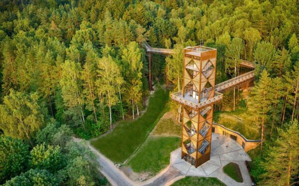 Medžių lajų takas – geriausia pasaulio turizmo inovacija