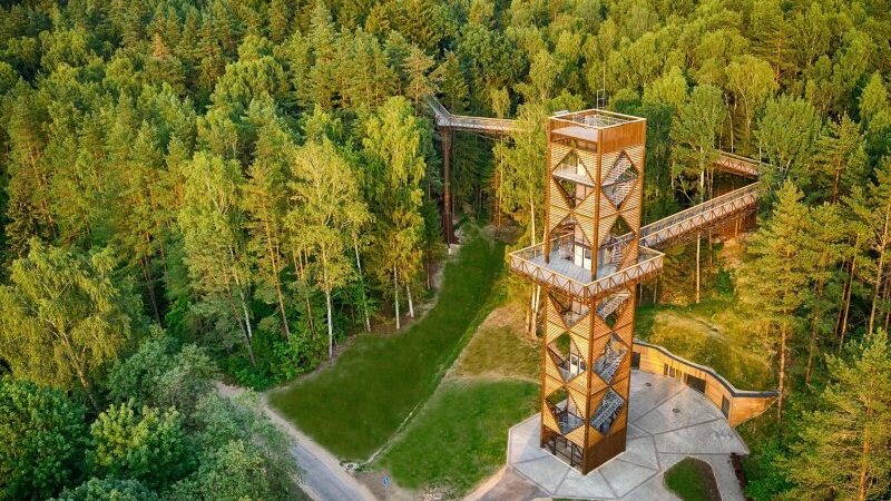 Medžių lajų takas – geriausia pasaulio turizmo inovacija