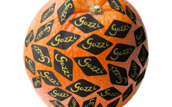 Aido Giniočio meilė trims apelsinams arba „Atviro rato“ premjera