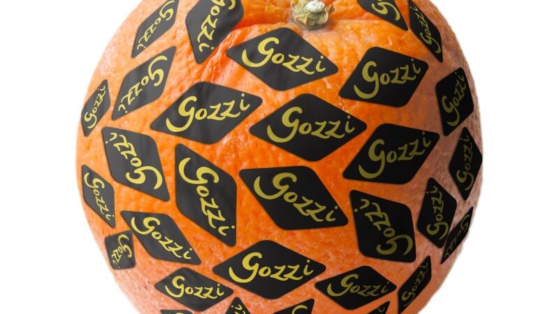 Aido Giniočio meilė trims apelsinams arba „Atviro rato“ premjera