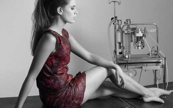 Mokslo ir meno sąjunga – suknelė iš vyno