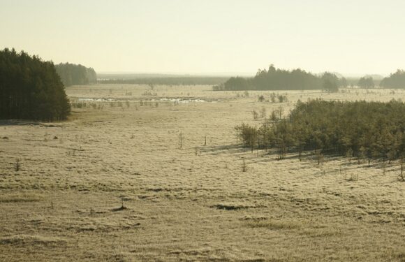 Keliauk kitaip – Čepkelių valstybinis gamtinis rezervatas  (Foto)