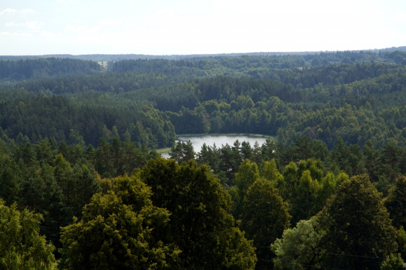 Keliauk kitaip: Sirvėtos regioninis parkas