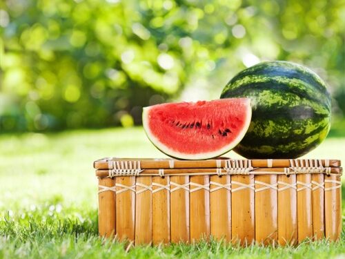 Savaitgalį bus apie 22 laipsnius šilumos, švies saulė