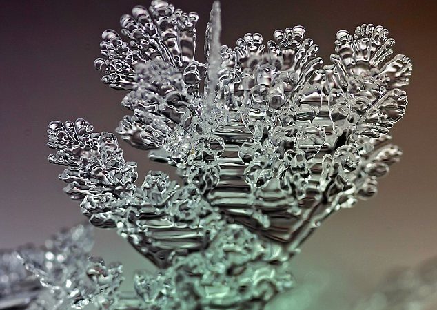 Nepakartojami ir unikalūs šalčio meno kūriniai užfiksuoti Maskvoje