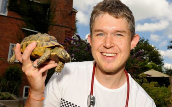 Gydytojas išgelbėjo vėžlį, padaręs jam dirbtinį kvėpavimą