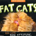 XXL: linksmas apvalučių kačiukų kalendorius (foto)