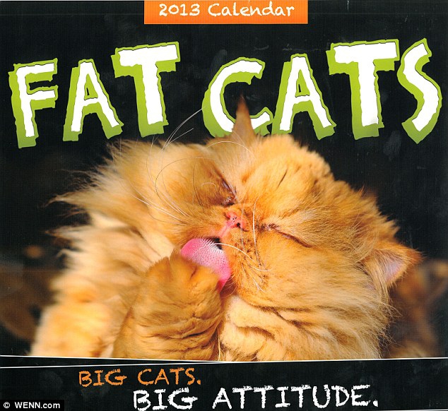 XXL: linksmas apvalučių kačiukų kalendorius (foto)