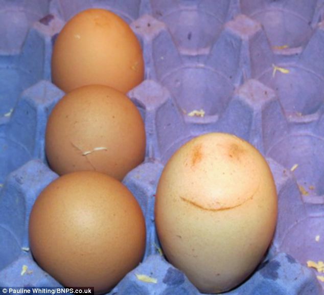 Pozityvu: višta deda besišypsančius kiaušinius
