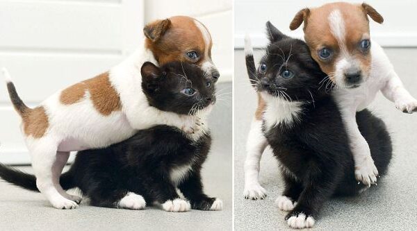 Suvestos likimo: jos mano, jog yra seserys! (foto)