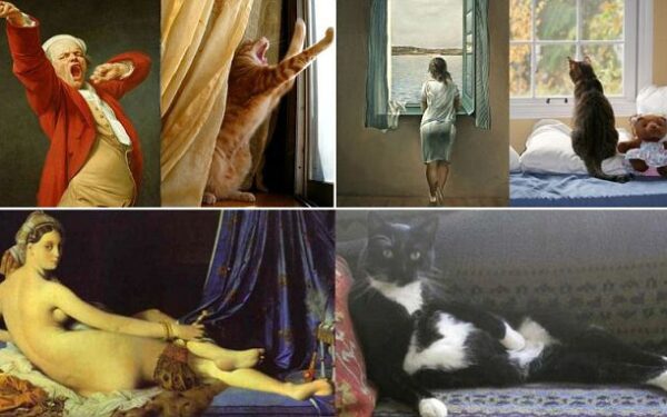Katės atkūrė Salvadoro Dali, Ticiano ir kitų meistrų paveikslus (foto)