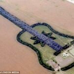 Vyras pasodino gitaros formos mišką savo mirusios žmonos atminimui