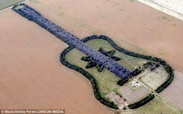 Vyras pasodino gitaros formos mišką savo mirusios žmonos atminimui