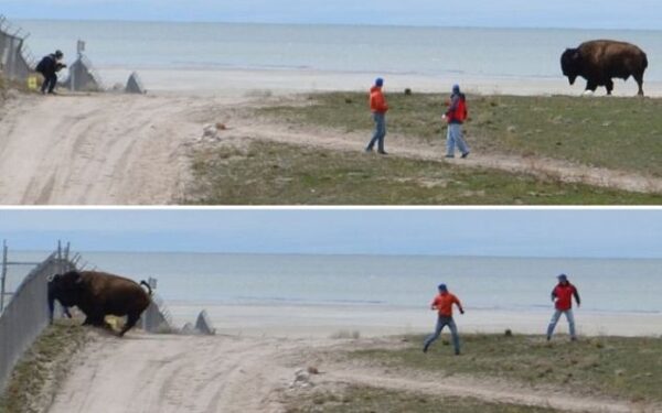 Gamtos fotografija – ne vaikų žaidimai (foto)