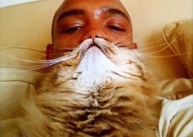 Katė vietoje barzdos – nauja interneto mada (foto)