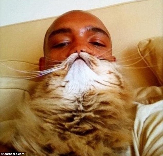 Katė vietoje barzdos – nauja interneto mada (foto)
