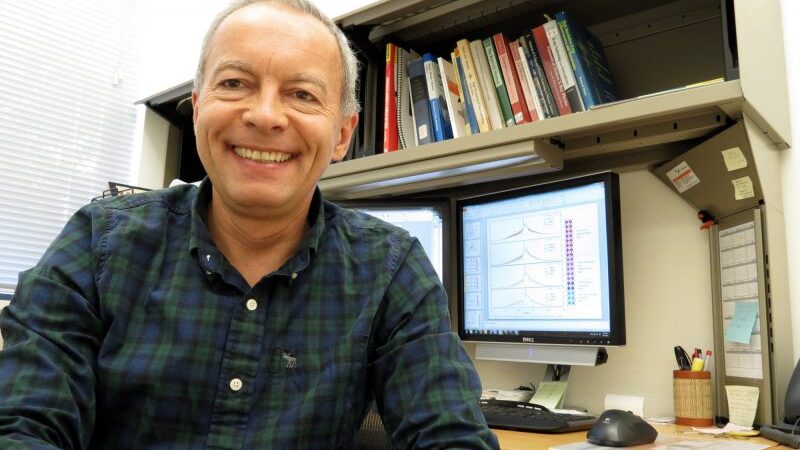 Stanfordo universiteto mokslininkas Artūras Vailionis: „Provincija – tai žmogaus dvasios būsena, o ne geografinė sąvoka“