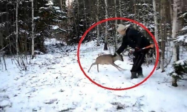„Saugau mišką nuo triukšmo“: nufilmuota, kaip Tauragės miškuose stirniukas užpuolė medkirtį (video)