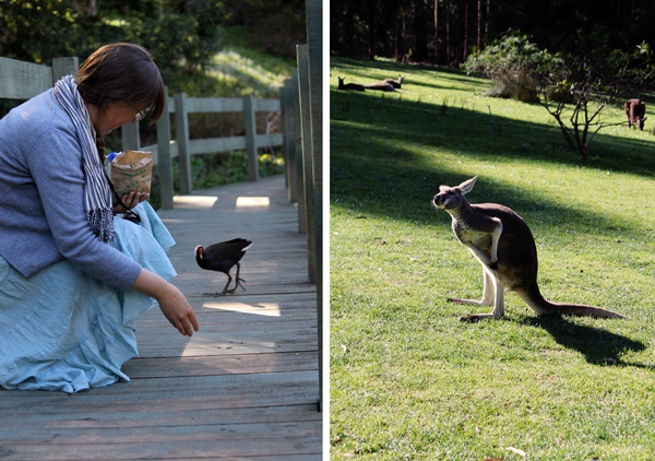 Australiškos Kalėdos kepinant saulei po papuošta palme (Foto