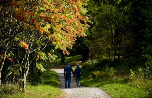 Savaitgalio orai: galėsime pasidžiaugti žiupsniu saulės