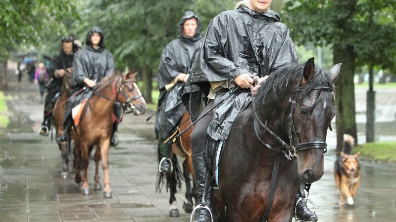 Raiteliai išjojo istoriniu valdovų Meilės keliu Krokuvos link (Foto)