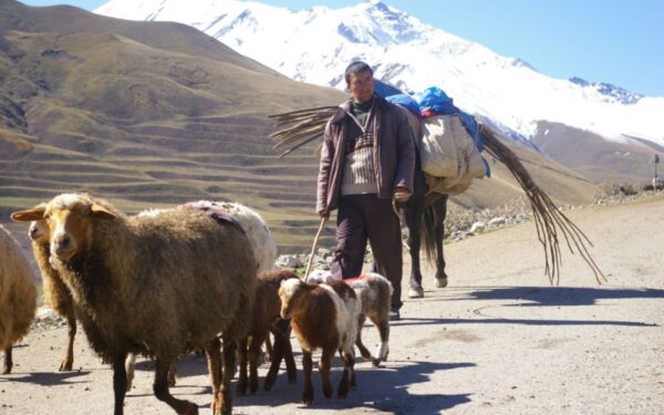 Lietuviai atranda Azerbaidžaną. Atmintinė keliautojams