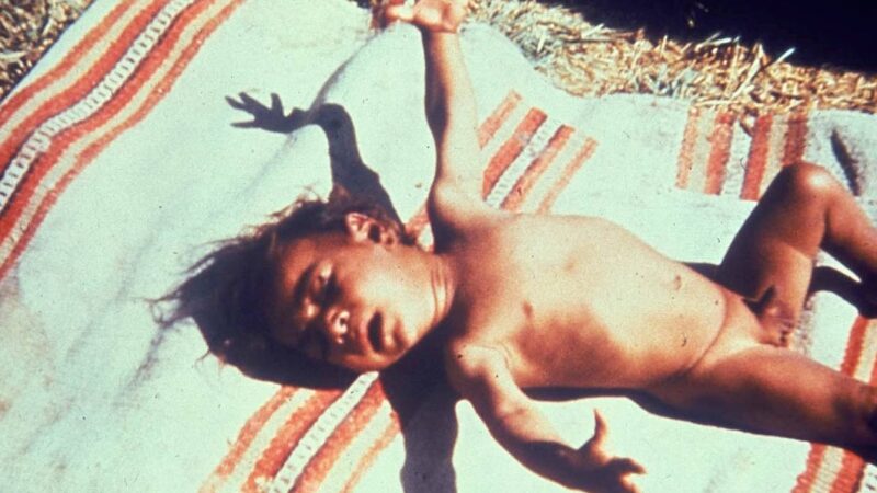 Dauginimasis be sekso, išlaisvinanti ateitis