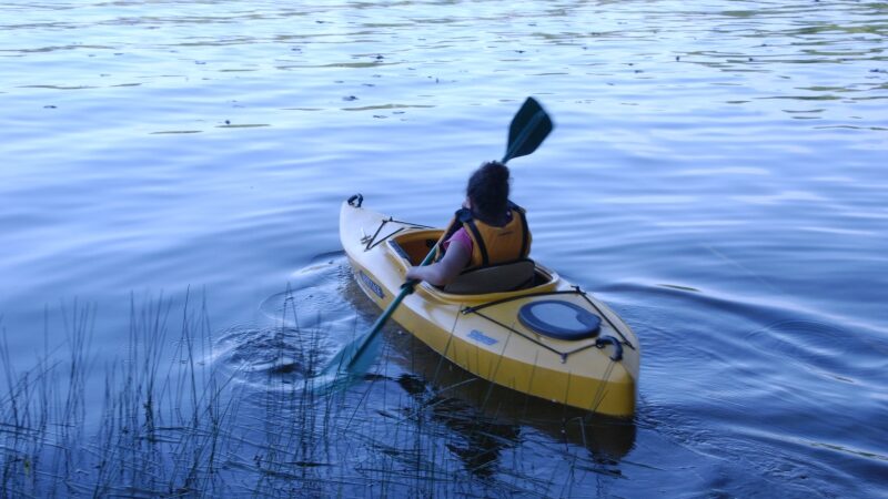R. Baškytė: žmonės net plaukdami baidarėmis geria. Tokių tikrai nereikia