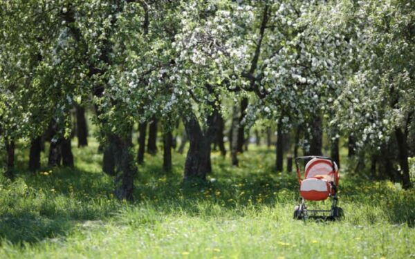 Balandžio mėnesio horoskopas 12 Zodiako ženklų