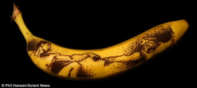 Bananų žievės badymo meistras (Foto)