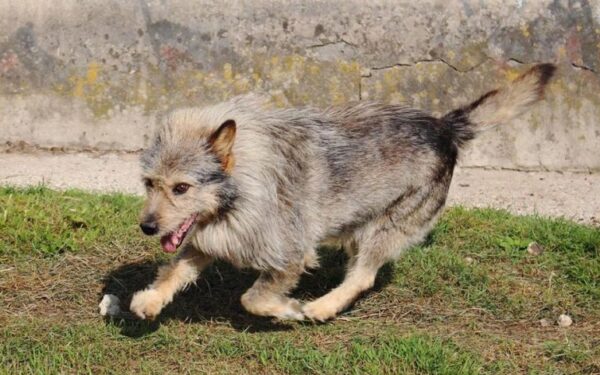 Globotinio pusryčiai: gerą nuotaiką dovanojantis Bazas