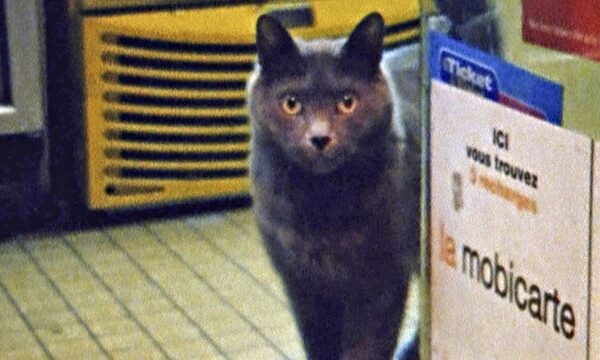 LAIKAS „Scanoramoje’13“: 8 mm ir 16 mm telefoninis pokalbis (nuomonė)