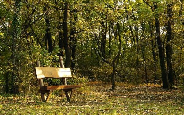 Orai: po apniukusių dienų nustebins šiltas ir saulėtas savaitgalis