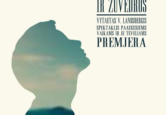 „Berniukas ir žuvėdros“ – suaugusių drama mažo angelo akimis