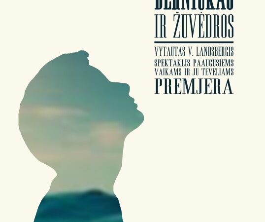 „Berniukas ir žuvėdros“ – suaugusių drama mažo angelo akimis