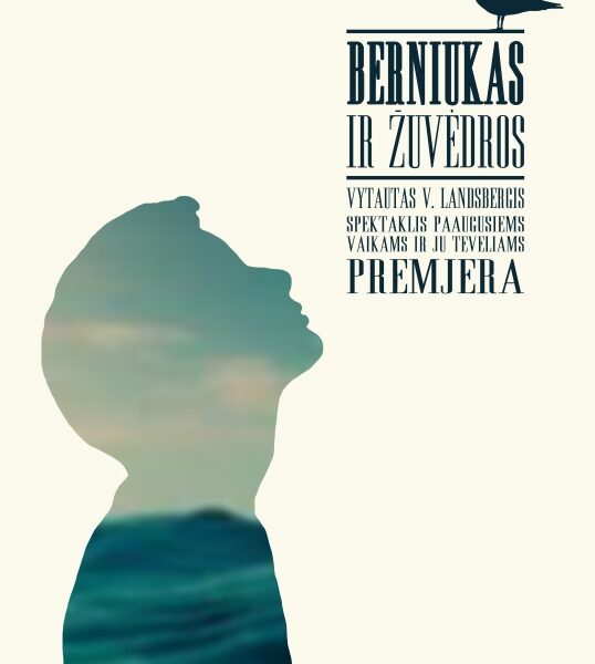 „Berniukas ir žuvėdros“ – suaugusių drama mažo angelo akimis