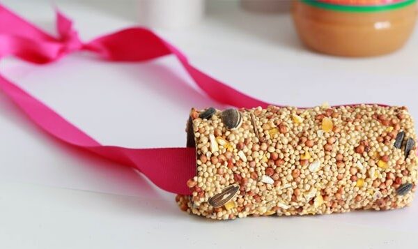 Pasidaryk pats: gardi lesyklėlė paukščiams