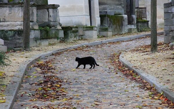 Finansiniai prietarai arba kodėl negalima švilpauti