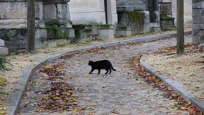Finansiniai prietarai arba kodėl negalima švilpauti
