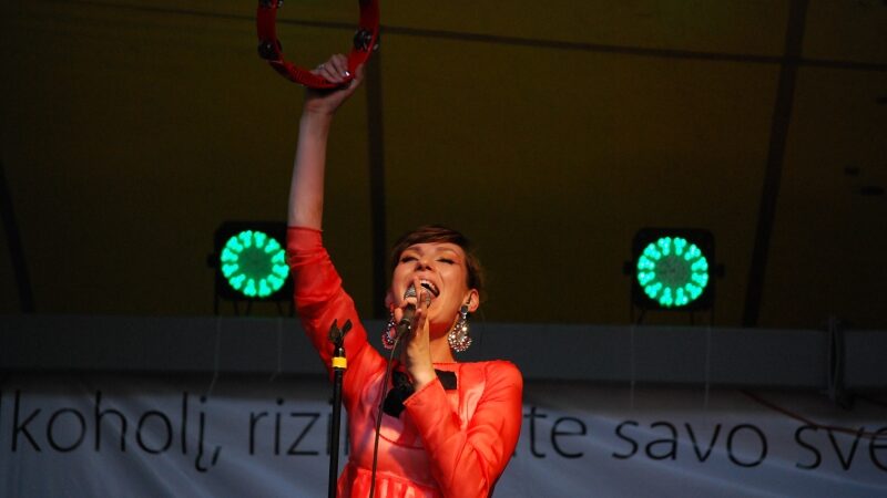 Grupė „BrassBastardz“ šokdino Vilnių (Foto)