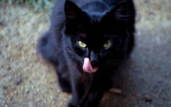 10 keistų prietarų iš viso pasaulio