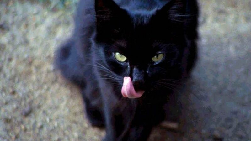 10 keistų prietarų iš viso pasaulio