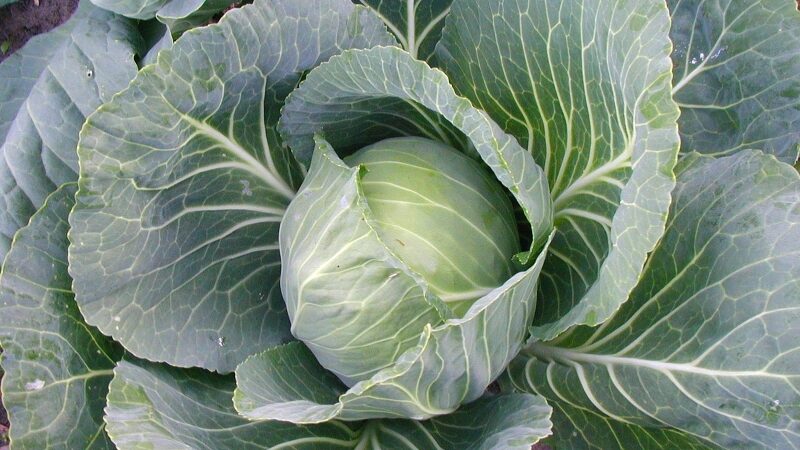 Neįprasti skanumynai