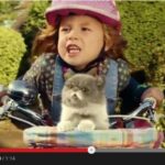 Video pusryčiai. Pasaulį pavergusi dainuojanti ūsuota katė (video)