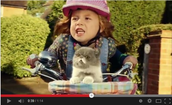 Video pusryčiai. Pasaulį pavergusi dainuojanti ūsuota katė (video)