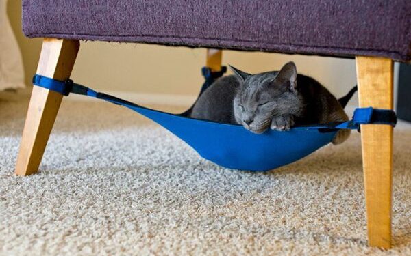 Daiktų pusryčiai. Katės hamakas