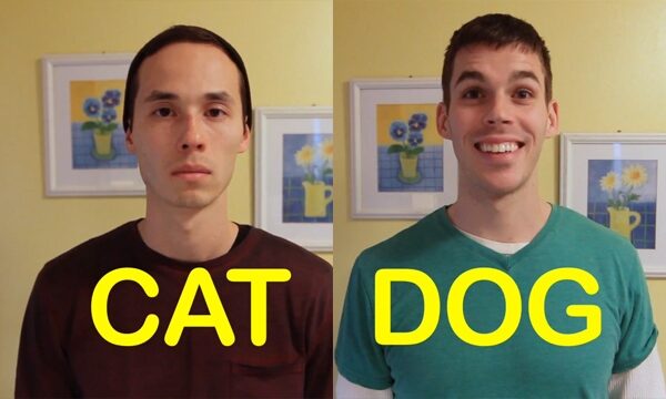 Video pusryčiai. Draugas-katė prieš draugą-šunį (video)