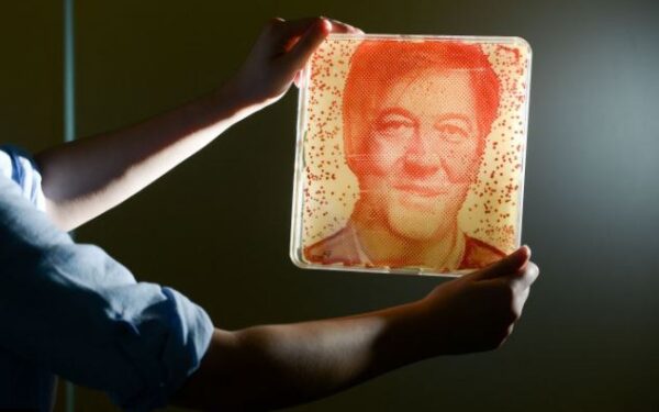 Anglijos mokslo mugės sensacija – pažastų bakterijomis kuriami garsenybių portretai (video)