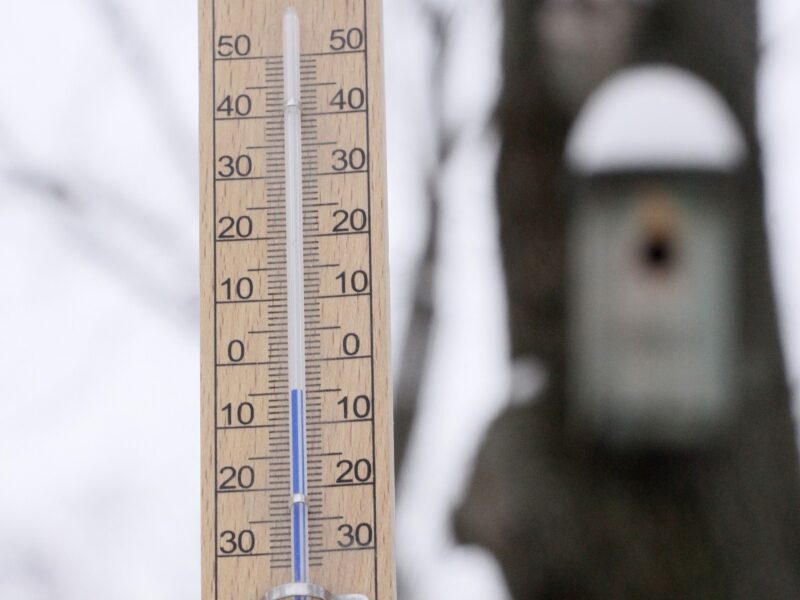 Kitą savaitę sugrįš šaltis